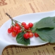 お庭のさくらんぼでドライチェリー レシピ 作り方 By Makiko 楽天レシピ お庭のさくらんぼでドライチェリー レシピ 作り方 By Makiko 楽天レシピ